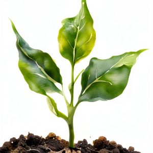 Soil Science Kindle eBook Elemental Retail 145pg-0