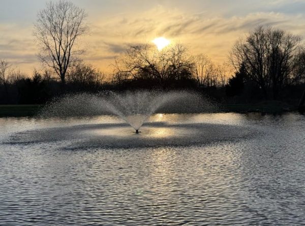 Pond Fountain ELELIFE Stainless Steel RGB-5