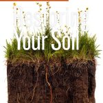 Soil Science eBook Storey Publishing Complete Guide for Learners-0