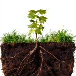 Rodale Books Soil Science Kindle eBook - 258 Page Guide for Gardeners-0