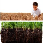 Soil Science Textbook Academic Press 4th Edition 595‑Page Kindle eBook-0