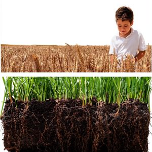 Soil Science Textbook Academic Press 4th Edition 595‑Page Kindle eBook-0