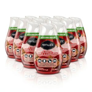 Renuzit Apple Cinnamon Adjustable Gel Air Freshener 7oz Cone 12 Pack-0